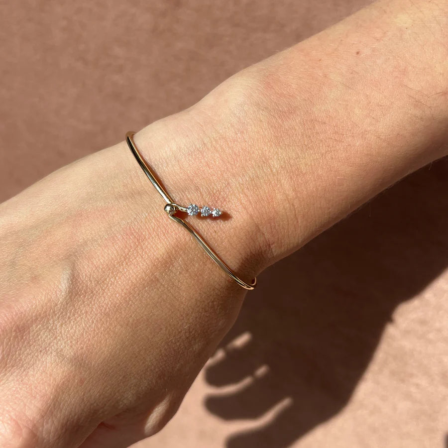 Rattlesnake Bracelet